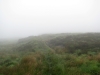 kintyre_way