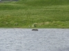 loch_na_sreinge